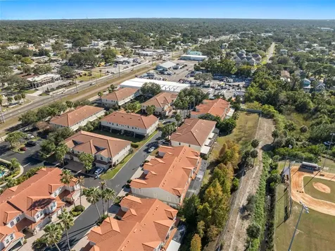 1342 Ribolla Drive Palm Harbor FL 34683