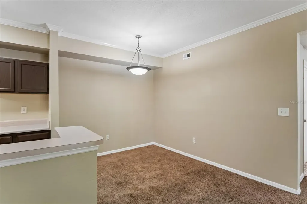 5618 Pinnacle Heights Circle Tampa FL 33624