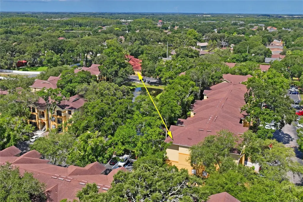 5618 Pinnacle Heights Circle Tampa FL 33624