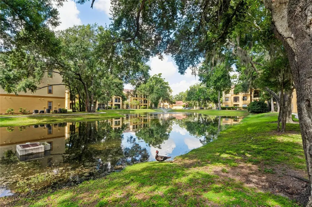 5618 Pinnacle Heights Circle Tampa FL 33624