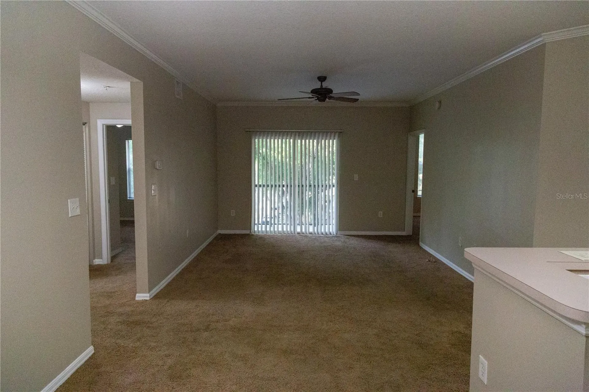 5618 Pinnacle Heights Circle Tampa FL 33624