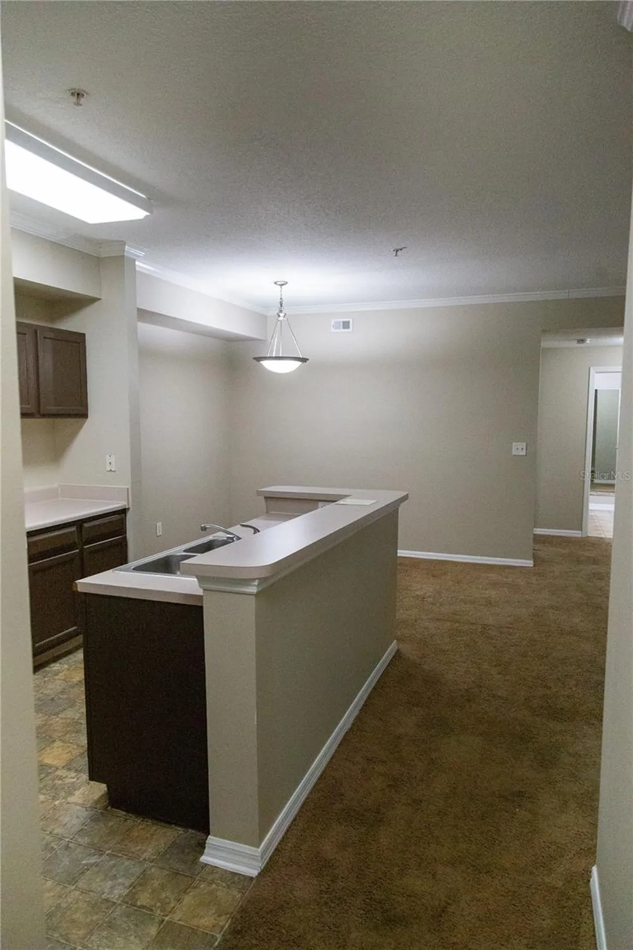 5618 Pinnacle Heights Circle Tampa FL 33624