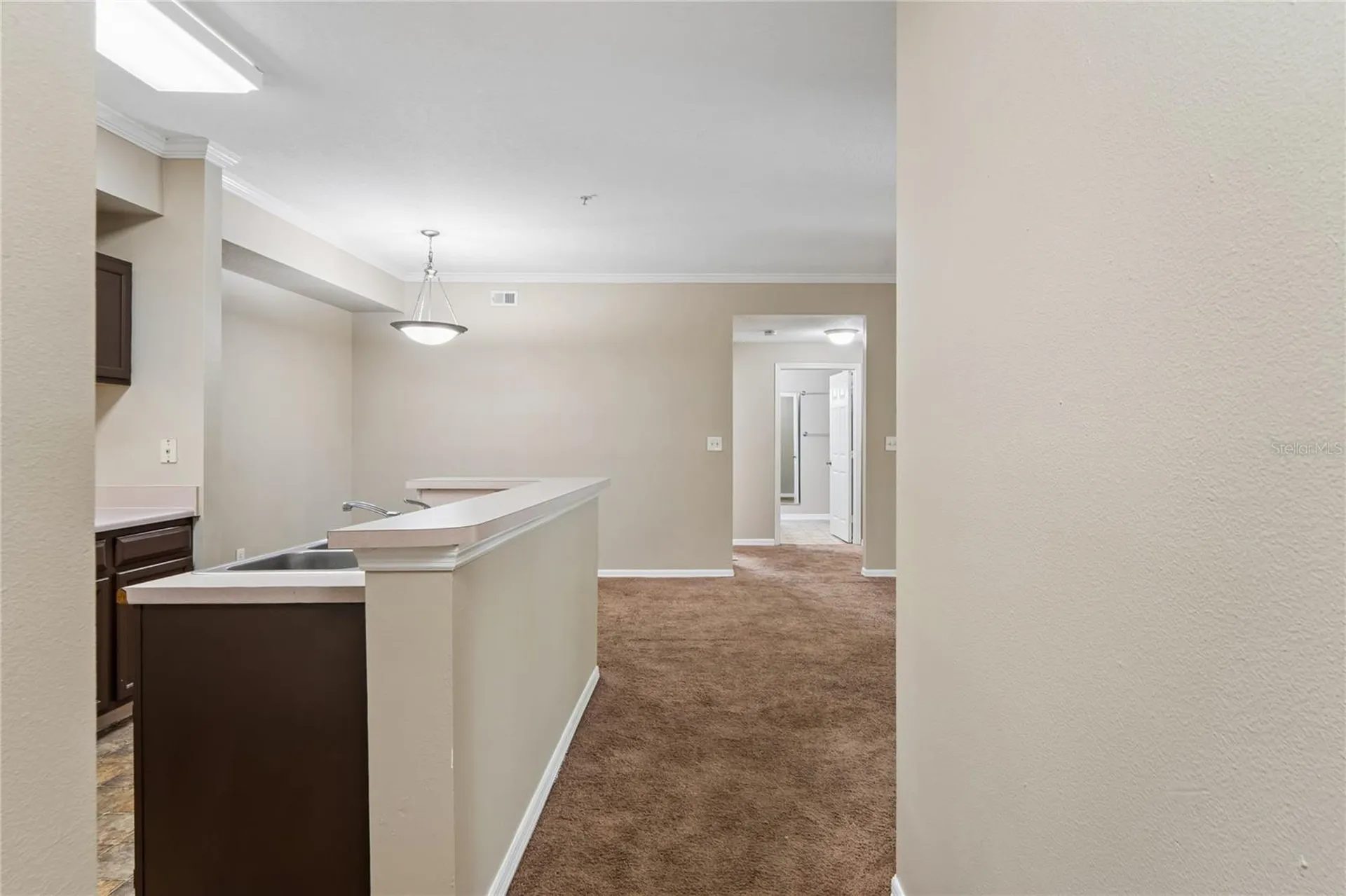 5618 Pinnacle Heights Circle Tampa FL 33624