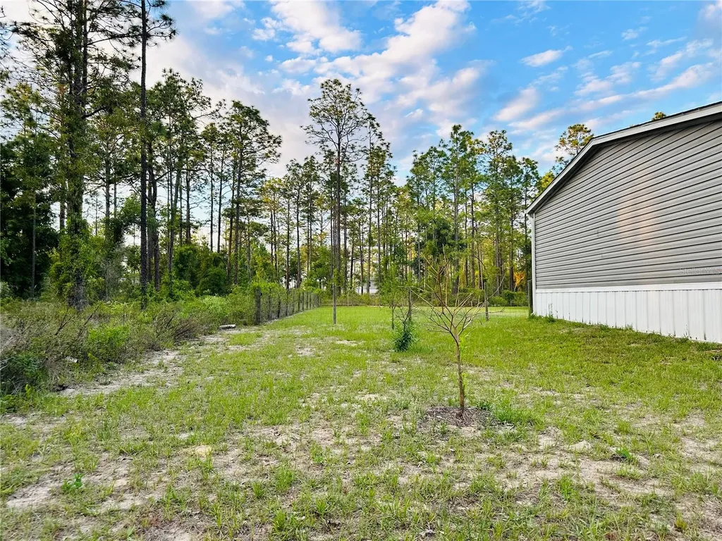 14251 SE 21st Place Morriston FL 32668