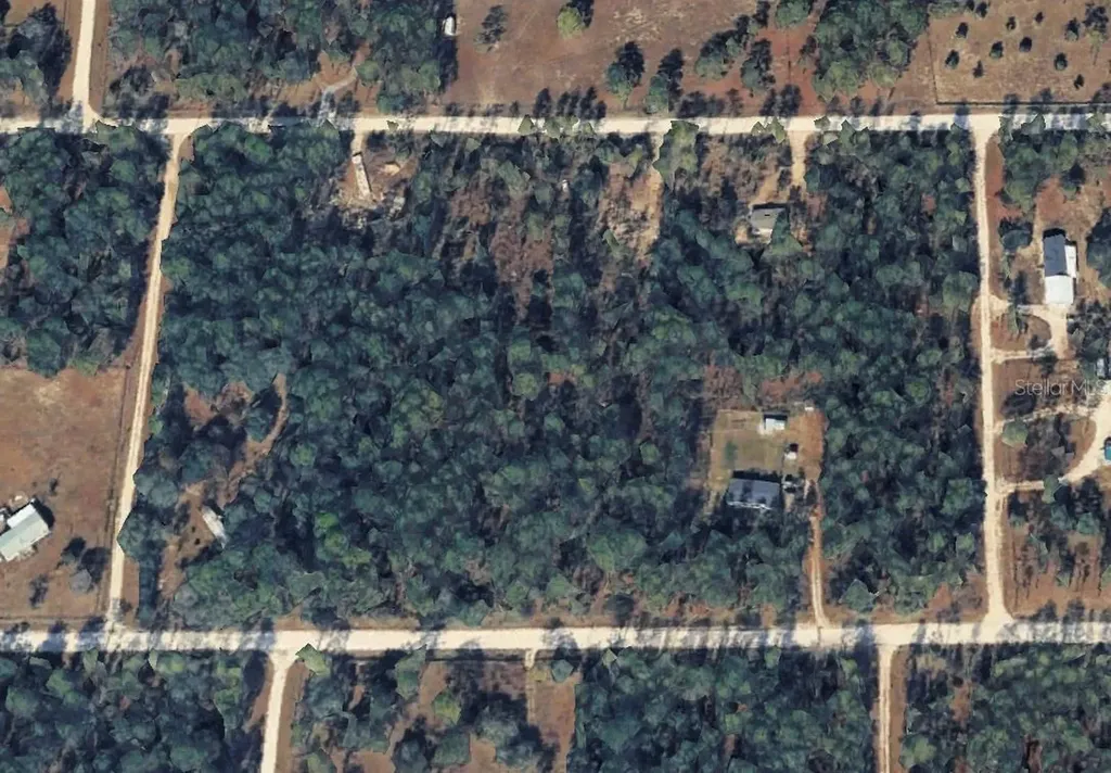14251 SE 21st Place Morriston FL 32668