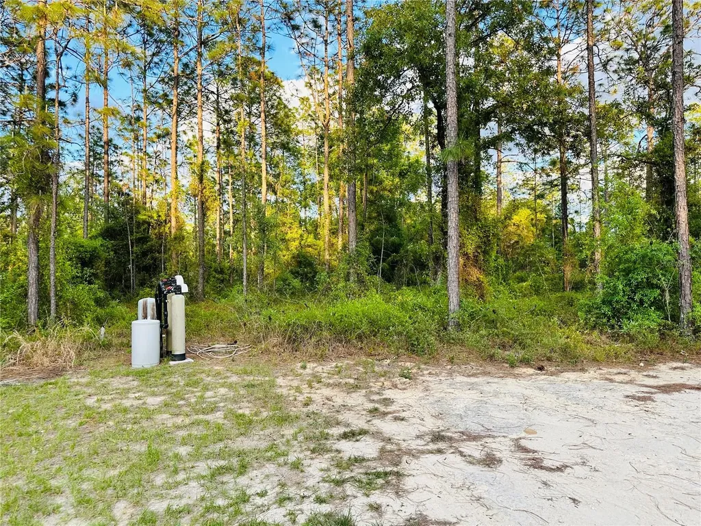 14251 SE 21st Place Morriston FL 32668