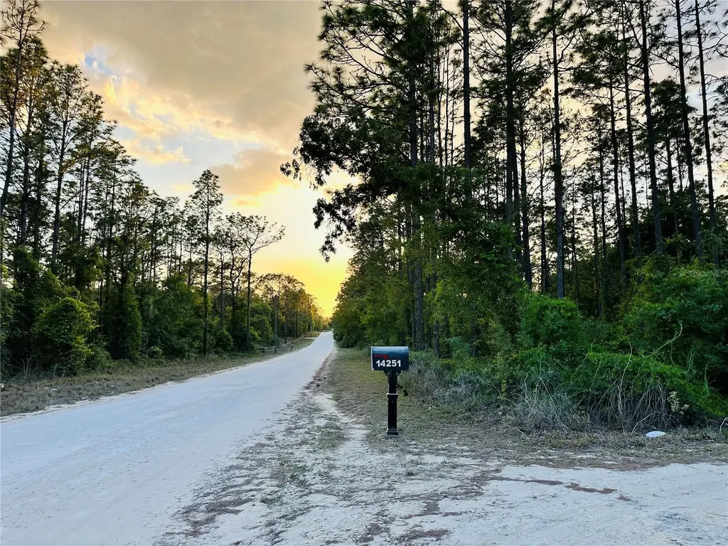 14251 SE 21st Place Morriston FL 32668