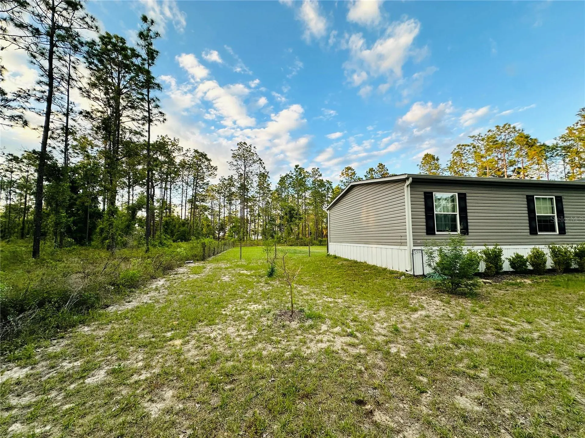 14251 SE 21st Place Morriston FL 32668