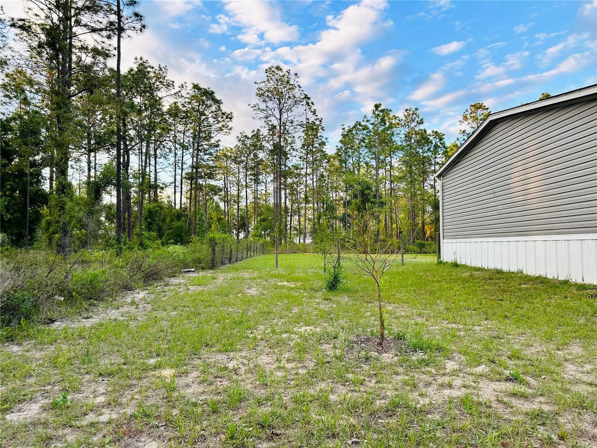 14251 SE 21st Place Morriston FL 32668
