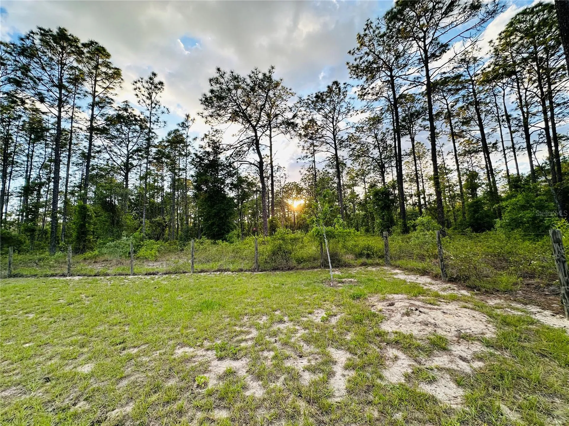14251 SE 21st Place Morriston FL 32668