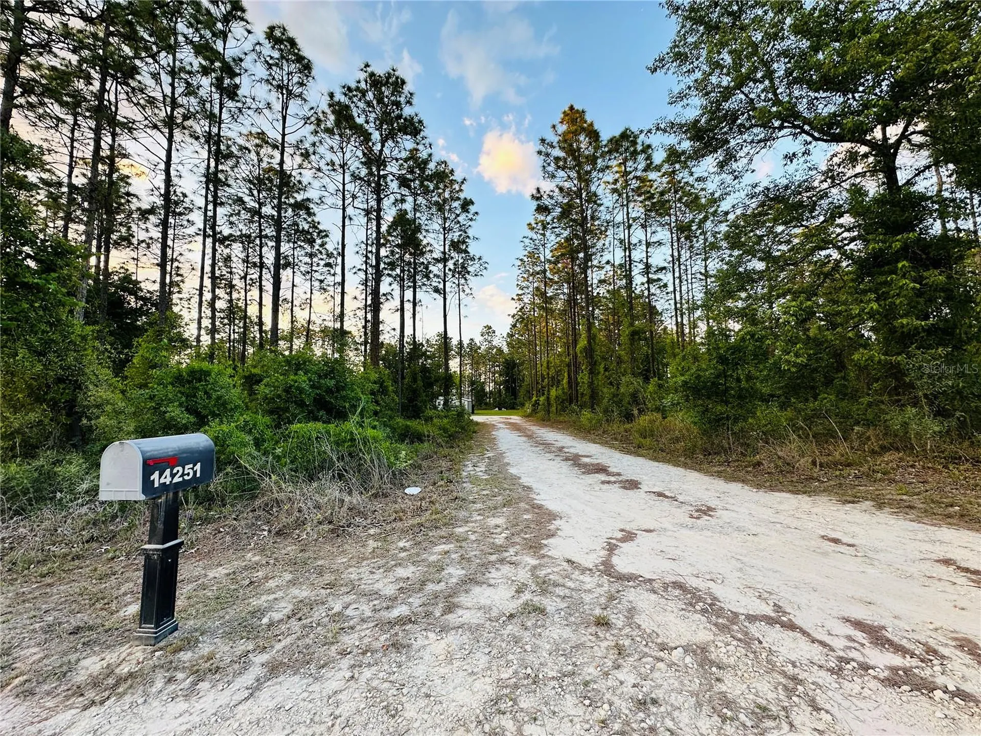 14251 SE 21st Place Morriston FL 32668