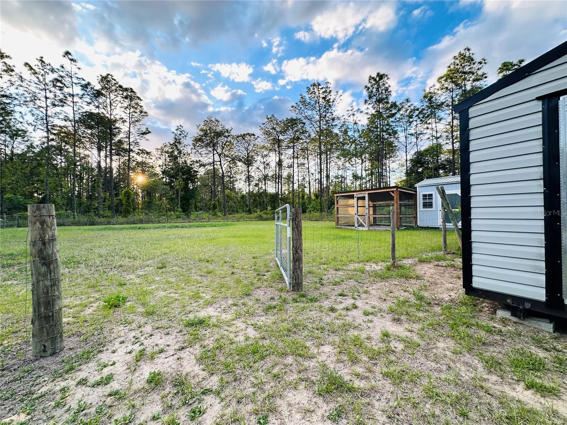 14251 SE 21st Place Morriston FL 32668