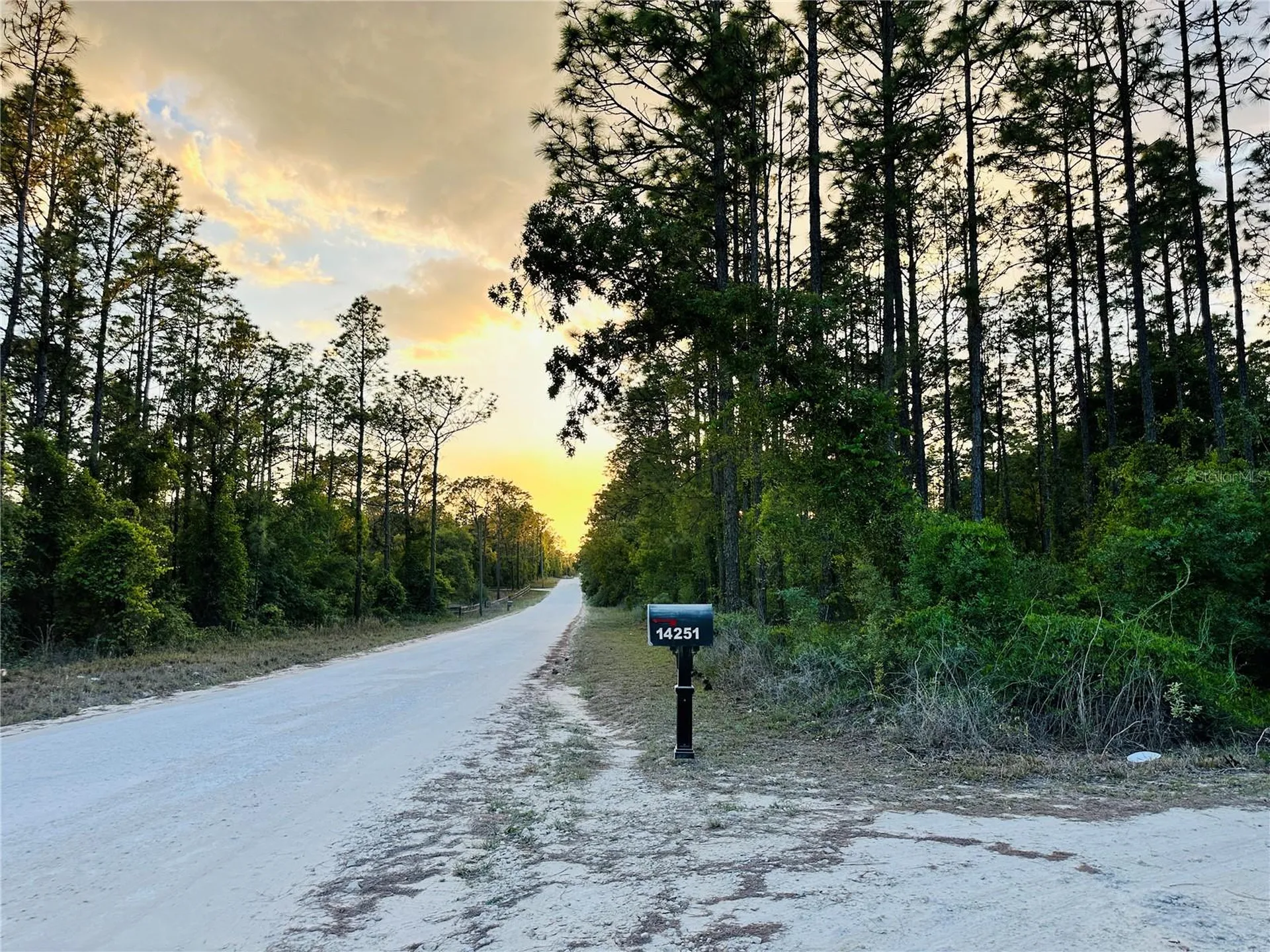 14251 SE 21st Place Morriston FL 32668