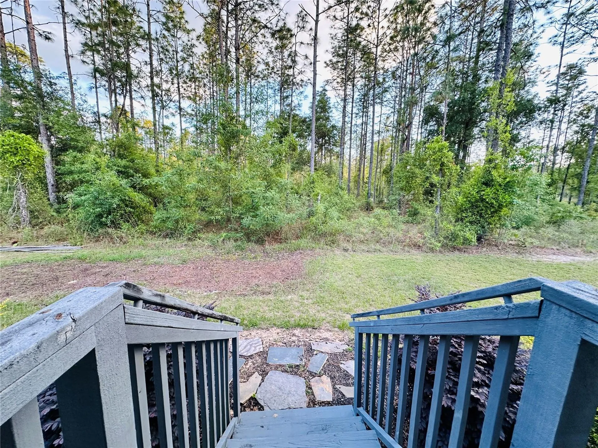 14251 SE 21st Place Morriston FL 32668