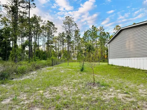 14251 SE 21st Place Morriston FL 32668