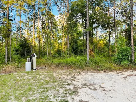 14251 SE 21st Place Morriston FL 32668