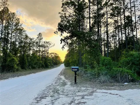14251 SE 21st Place Morriston FL 32668