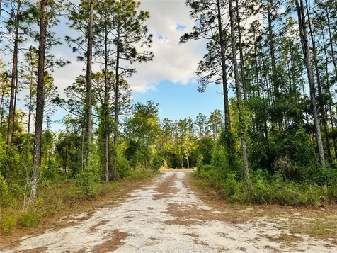 14251 SE 21st Place Morriston FL 32668