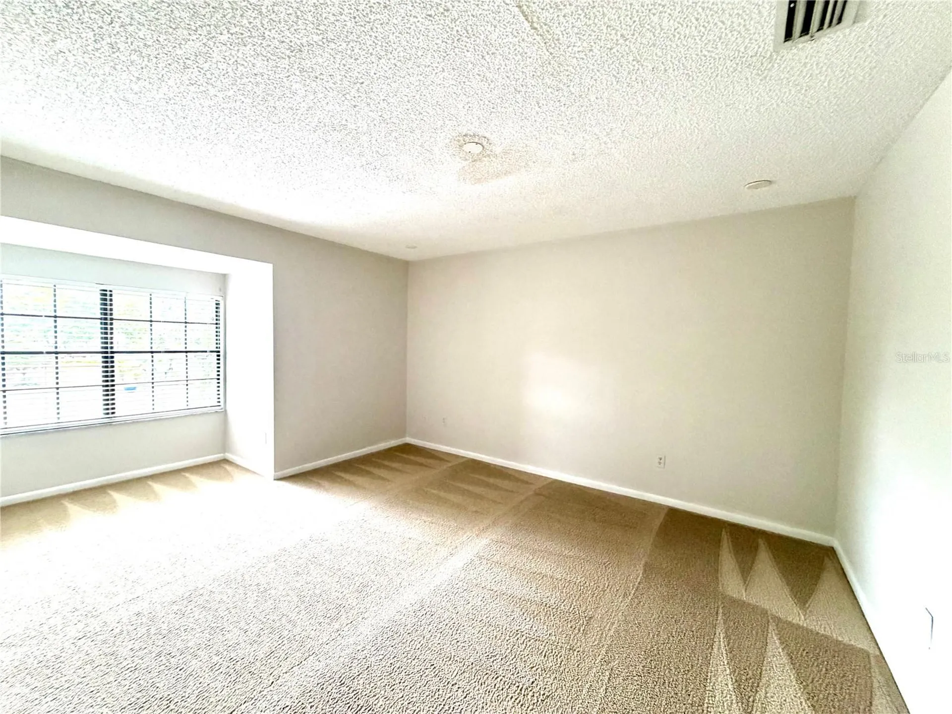 14904 Lake Forest Drive Lutz FL 33559
