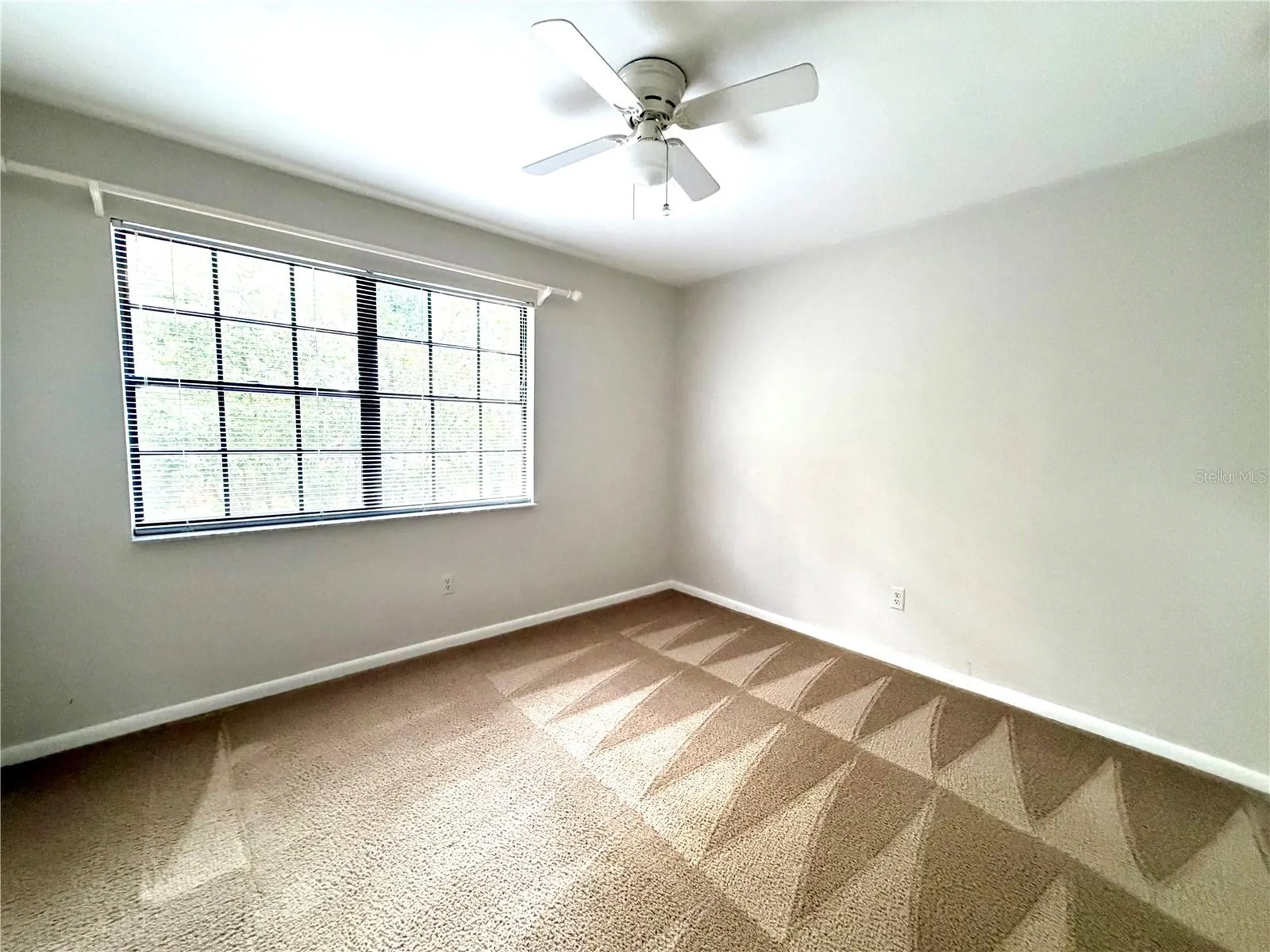 14904 Lake Forest Drive Lutz FL 33559