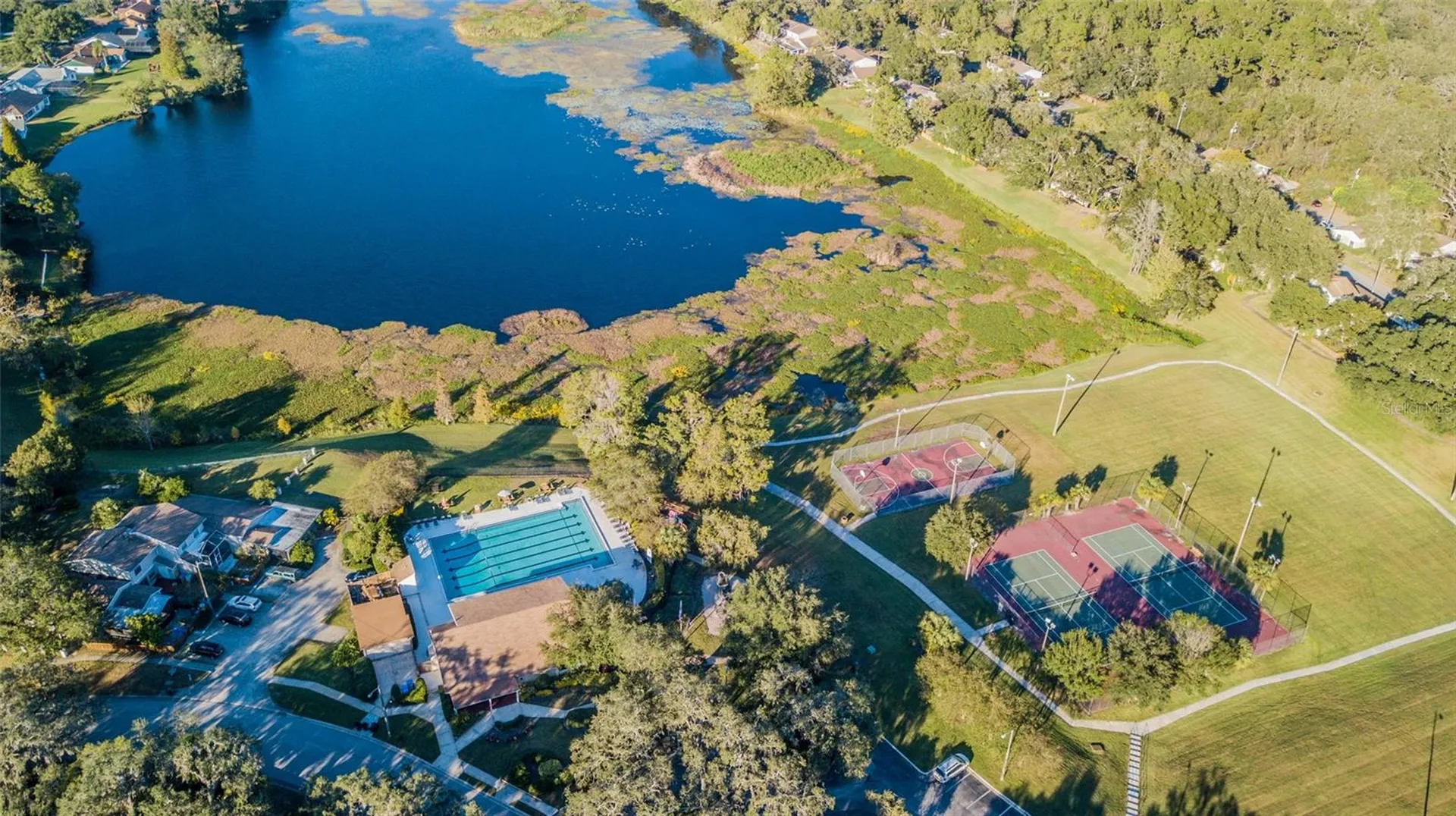 14904 Lake Forest Drive Lutz FL 33559