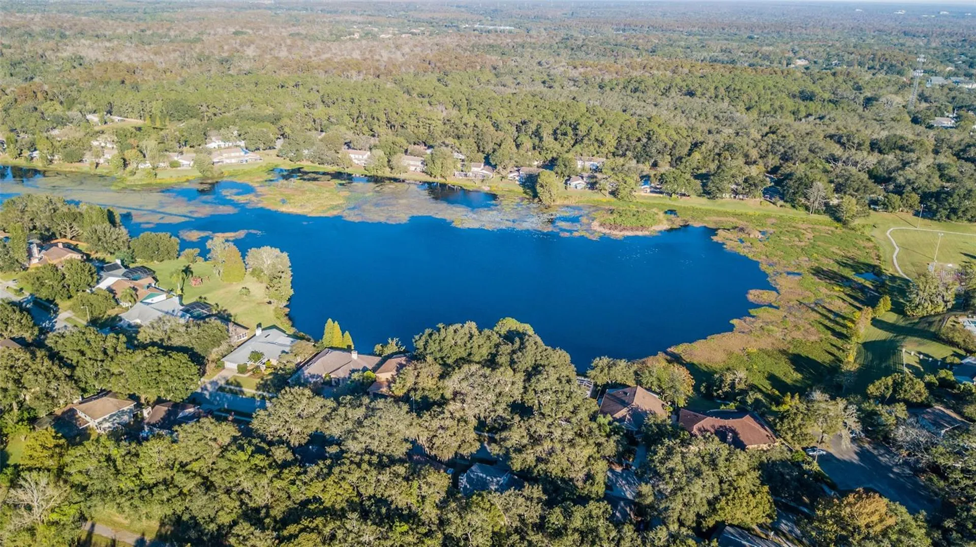 14904 Lake Forest Drive Lutz FL 33559