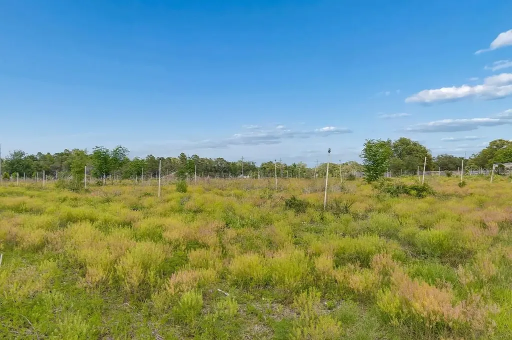 14320 Family Trail Hudson FL 34669