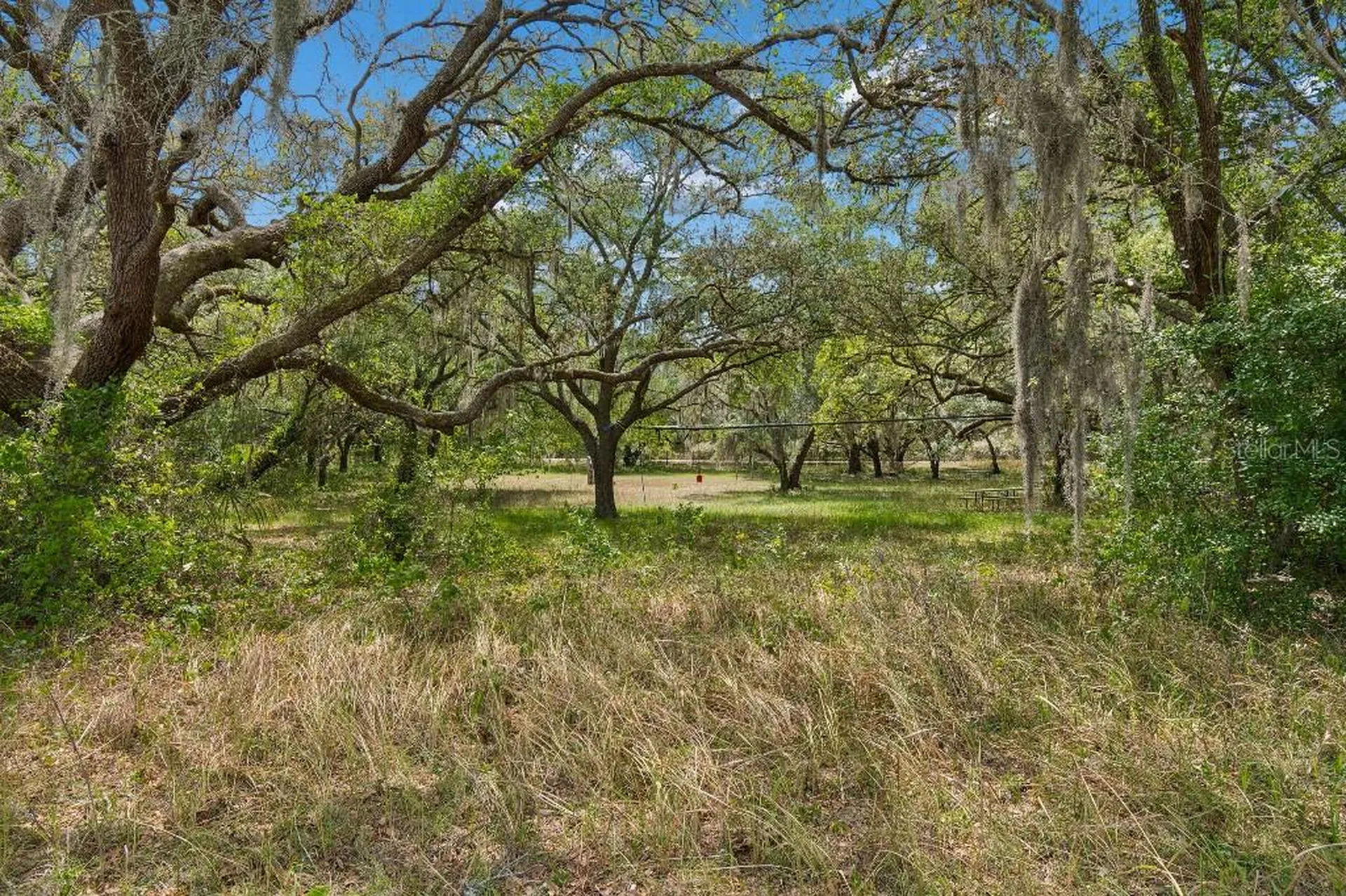 14320 Family Trail Hudson FL 34669