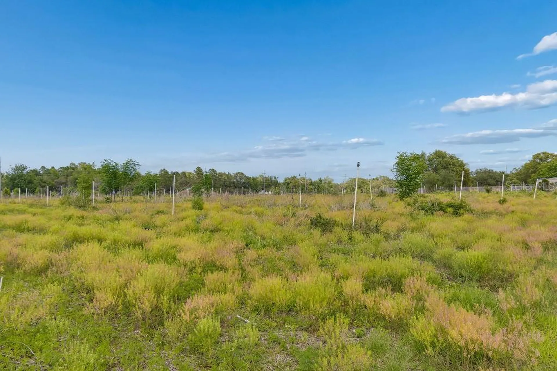 14320 Family Trail Hudson FL 34669