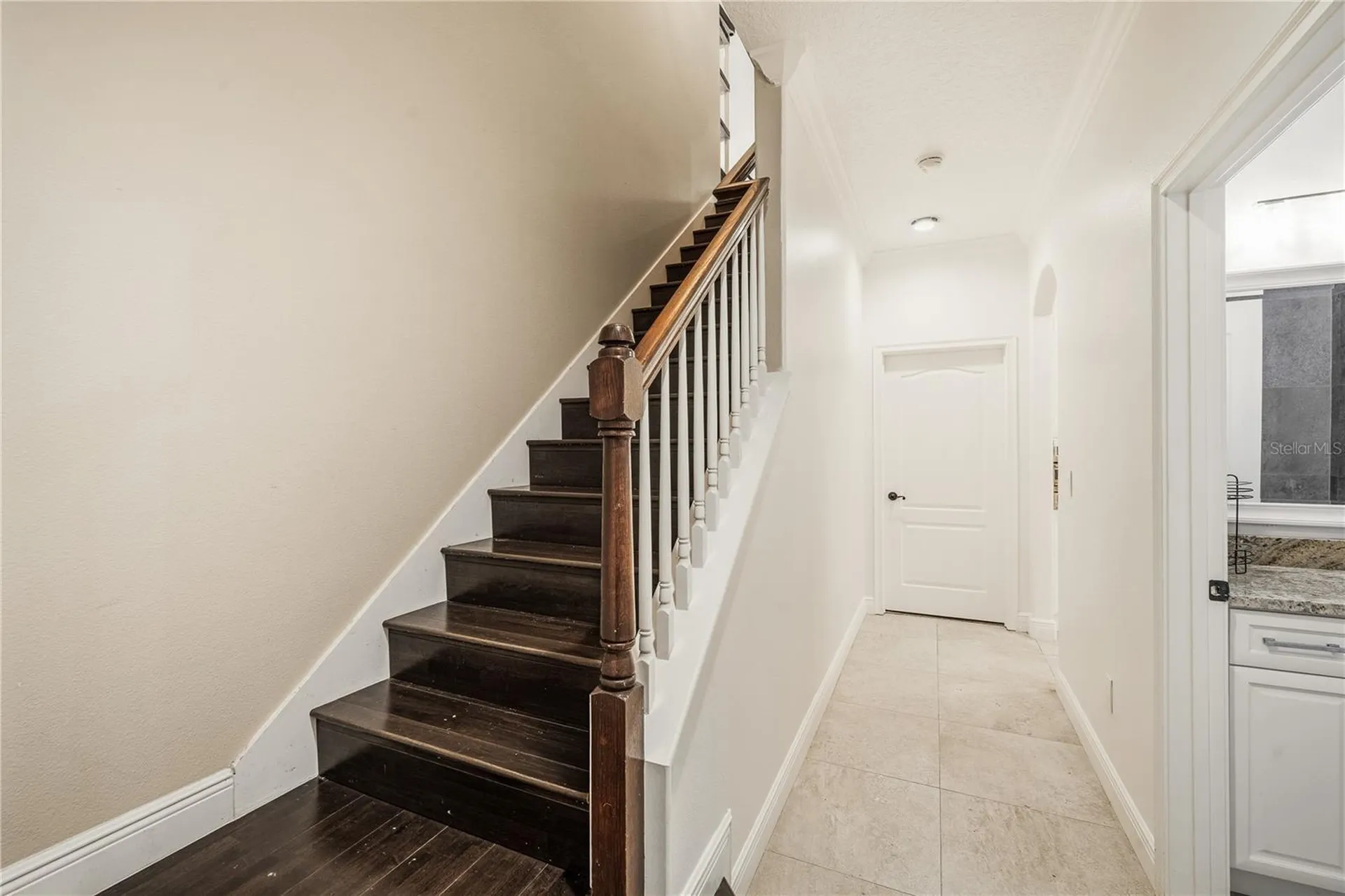 2928 Park Meadow Drive Apopka FL 32703