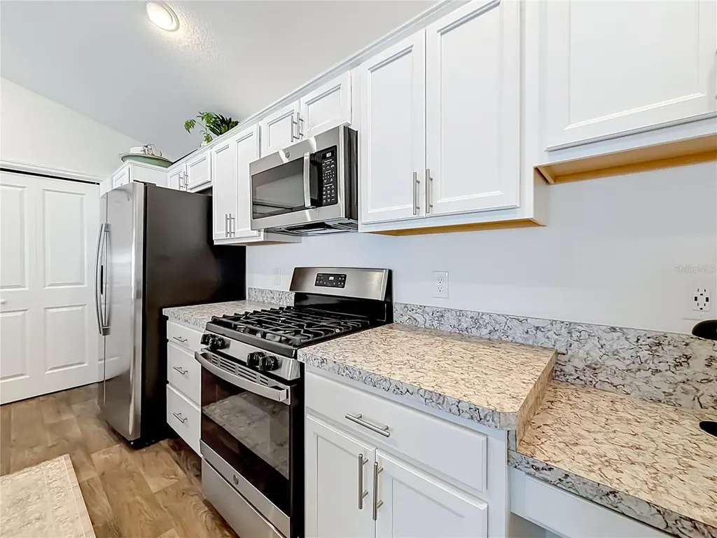 6231 Atkinson Lane The Villages FL 32163
