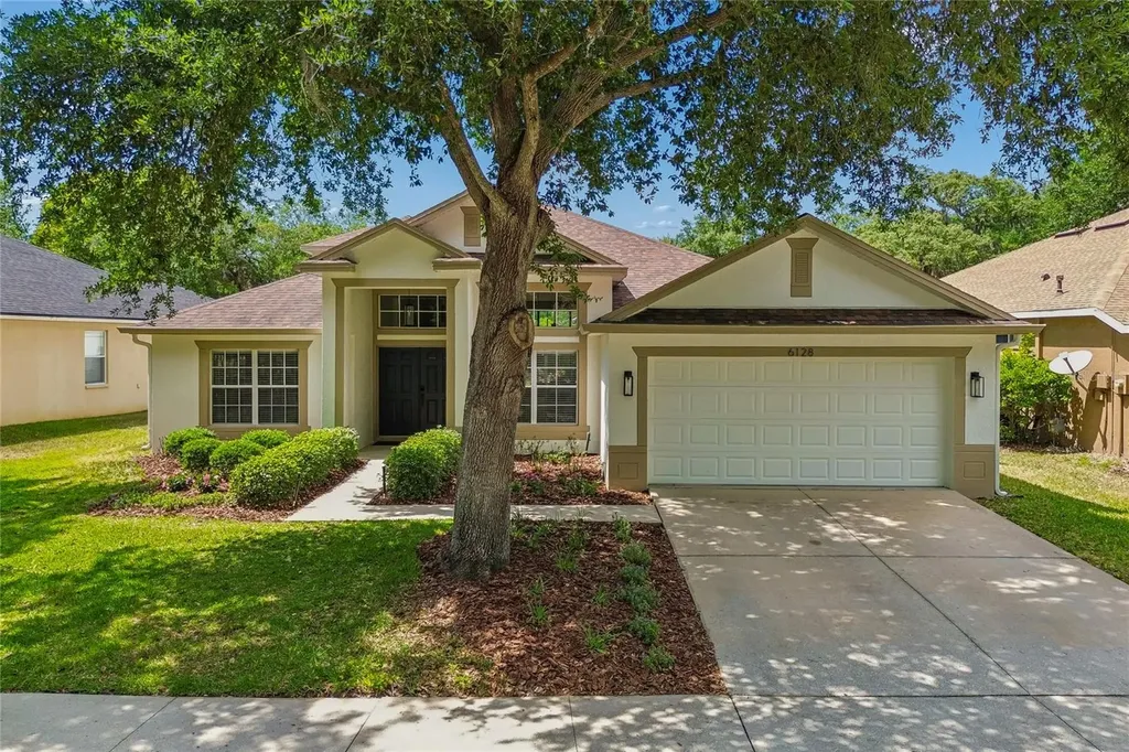 6128 Whimbrelwood Drive Lithia FL 33547