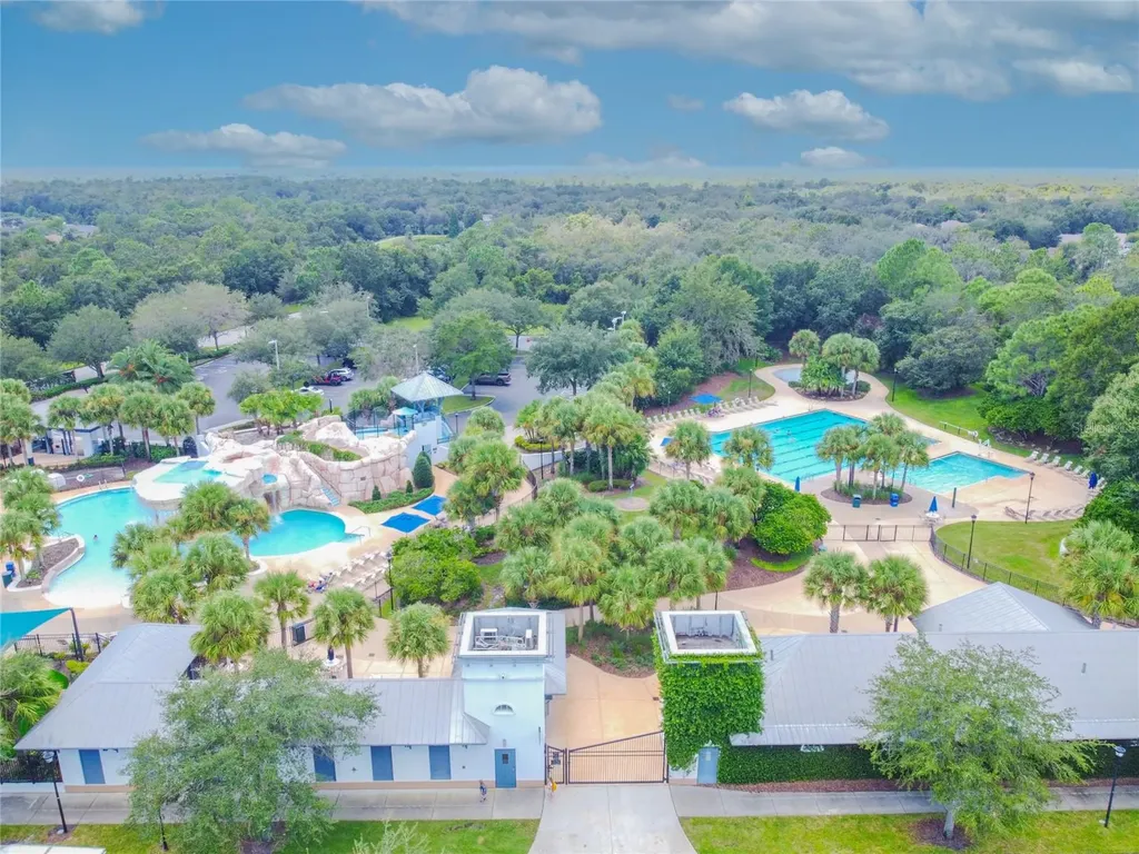 6128 Whimbrelwood Drive Lithia FL 33547