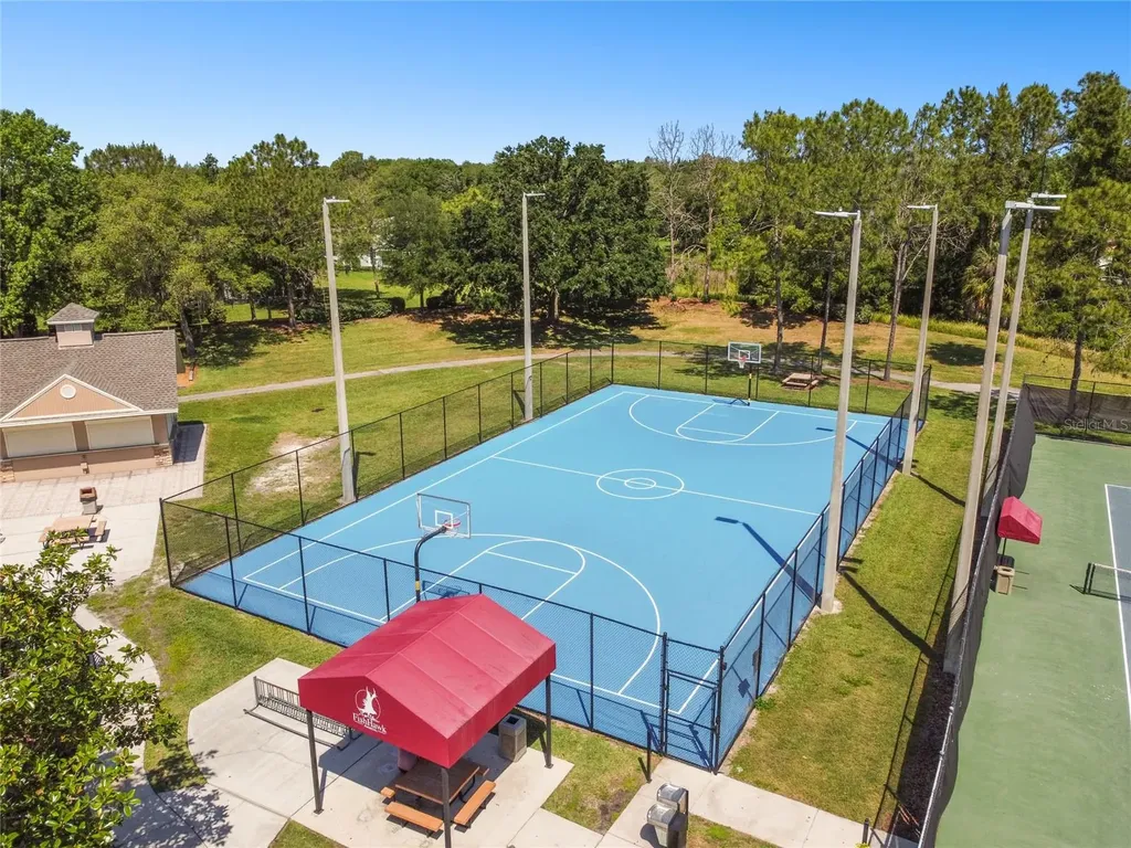 6128 Whimbrelwood Drive Lithia FL 33547