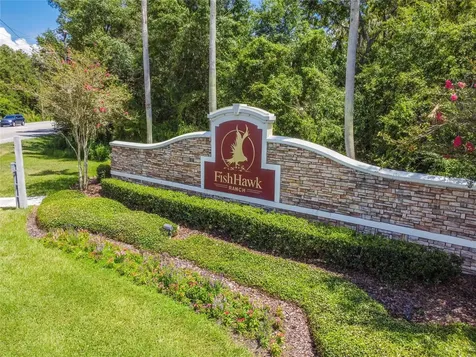 6128 Whimbrelwood Drive Lithia FL 33547