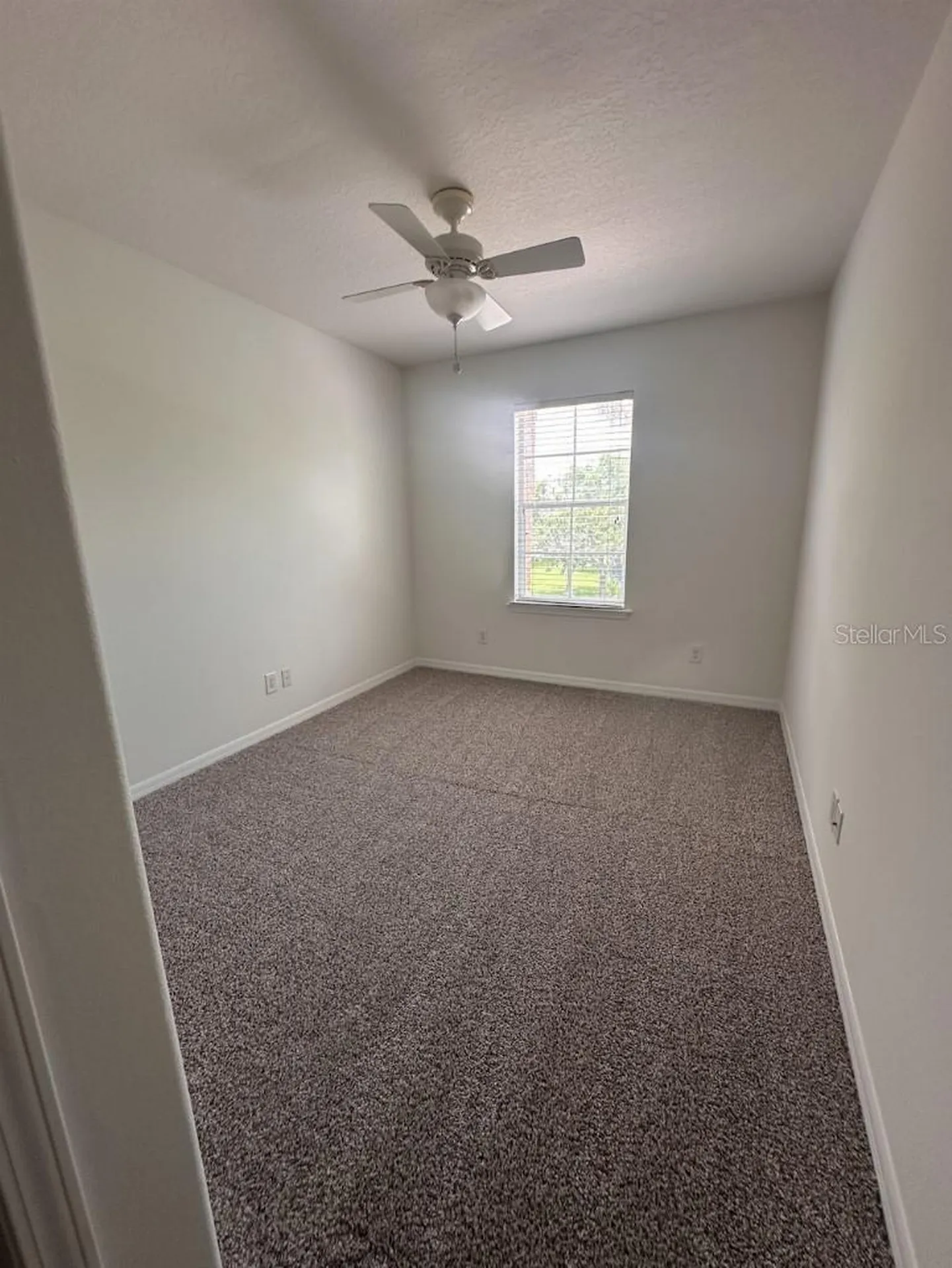 11107 Green Park Circle Tampa FL 33626
