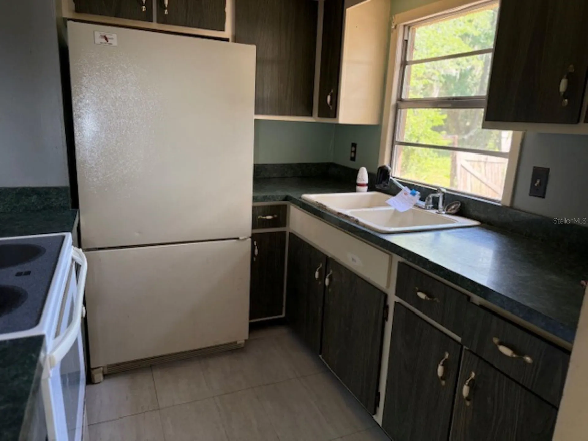 3189 Cr 419 Lake Panasoffkee FL 33538