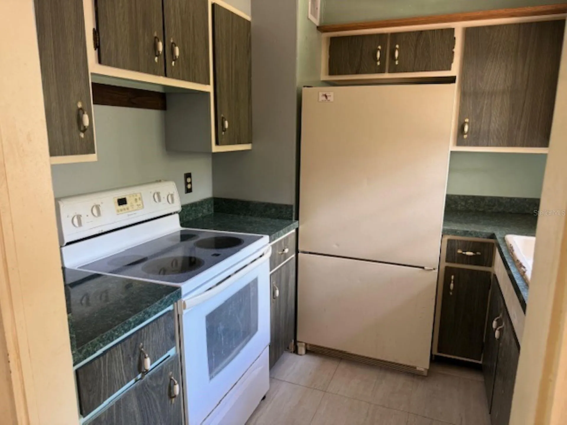 3189 Cr 419 Lake Panasoffkee FL 33538
