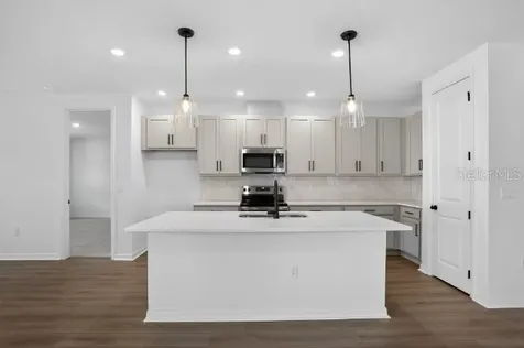 30131 Emerald Forest Drive Mount Dora FL 32757