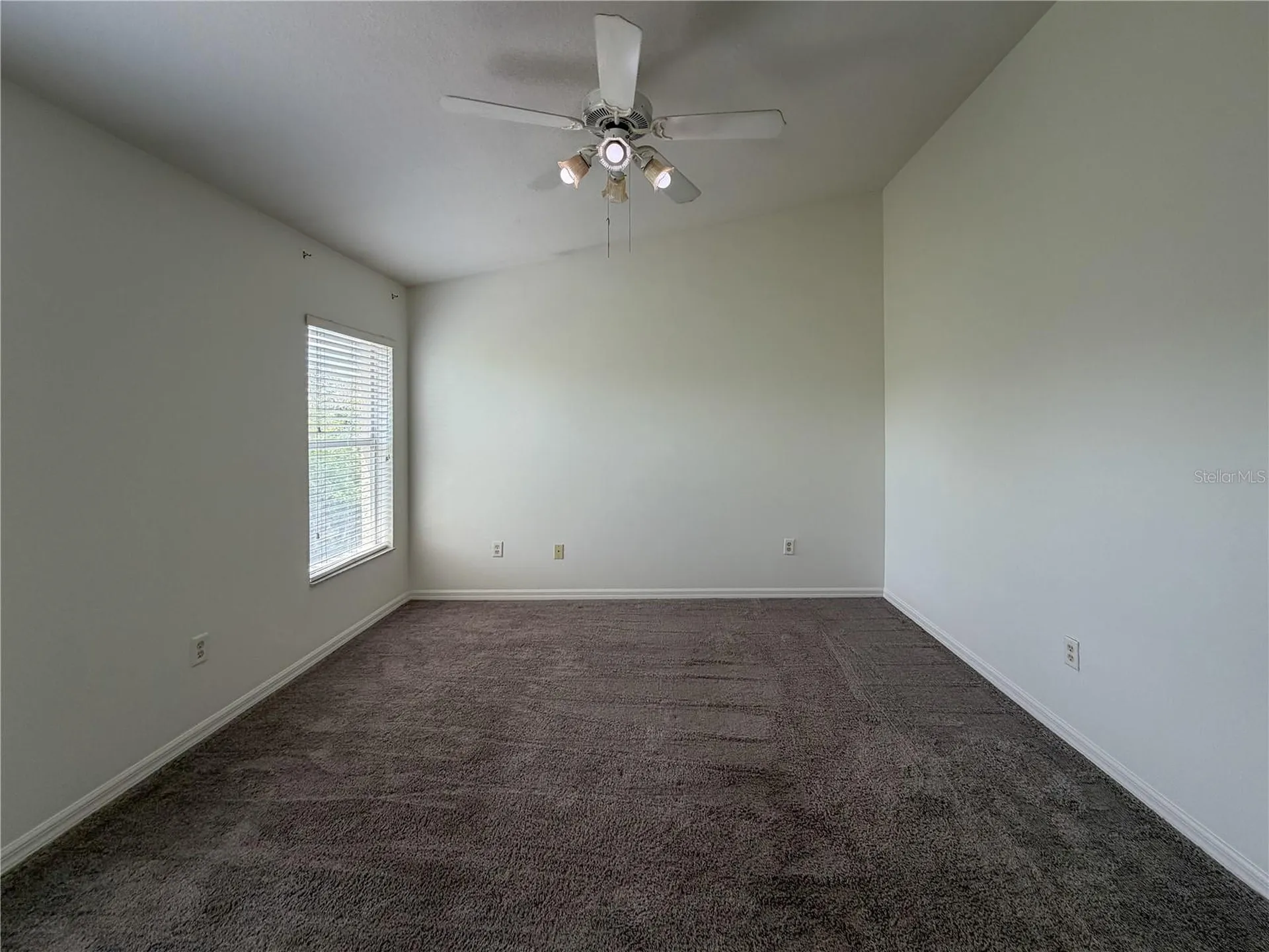 6244 Olivedale Drive Riverview FL 33578