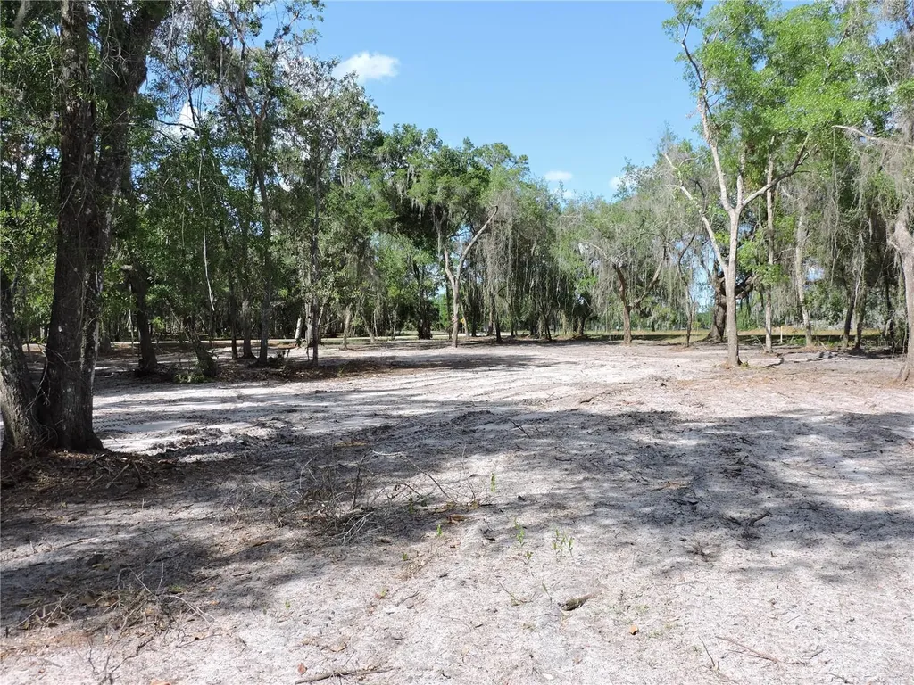 County Road 309 Crescent City FL 32112