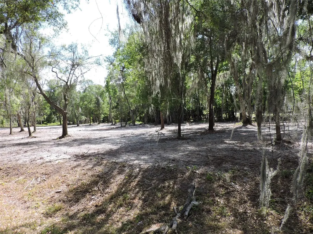 County Road 309 Crescent City FL 32112