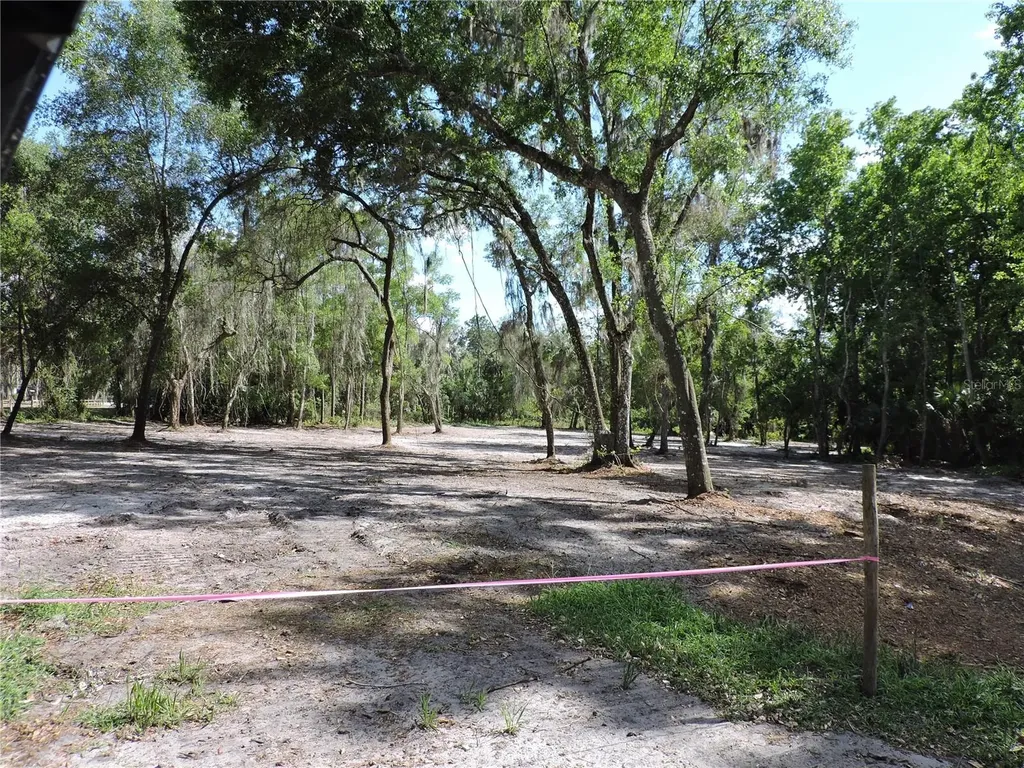 County Road 309 Crescent City FL 32112