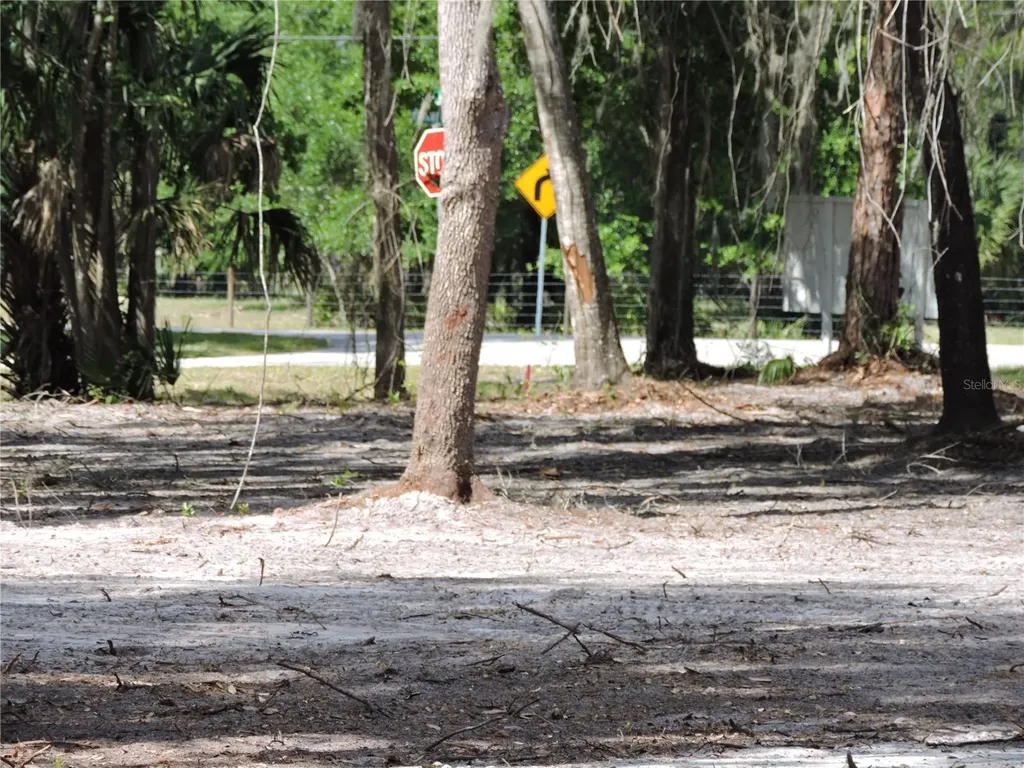 County Road 309 Crescent City FL 32112