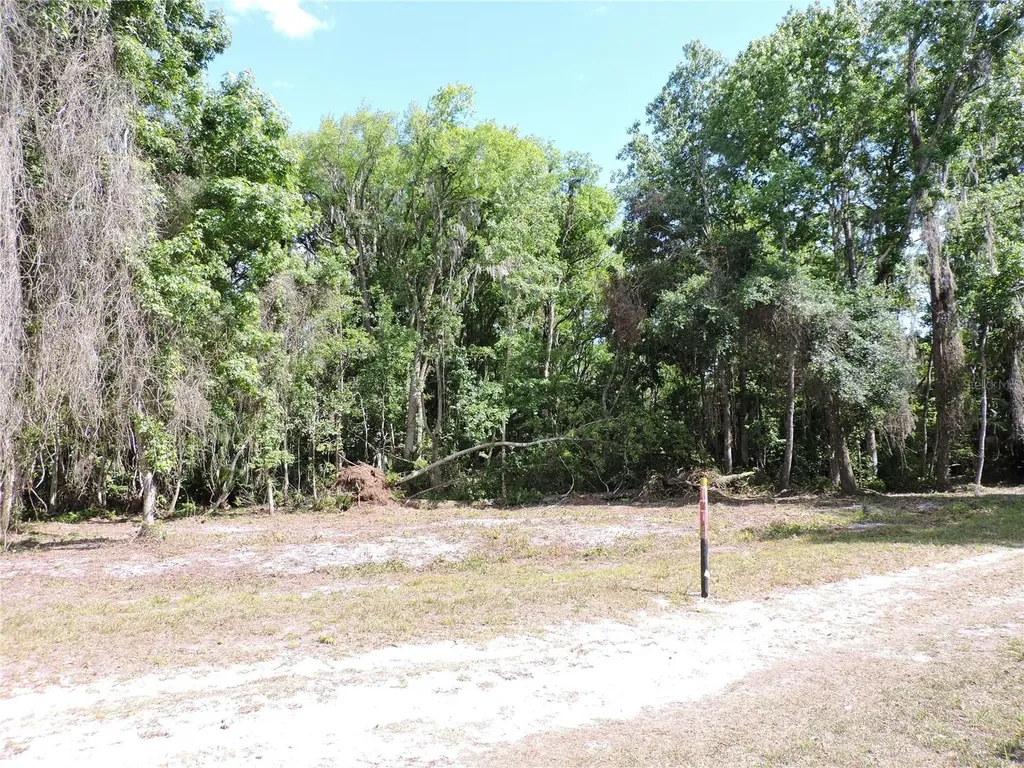 County Road 309 Crescent City FL 32112