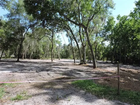 County Road 309 Crescent City FL 32112