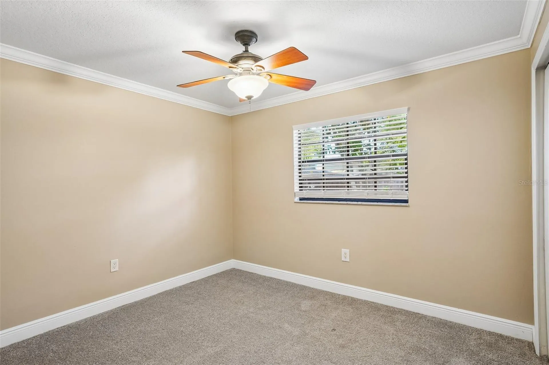 8315 Terracewood Circle Tampa FL 33615