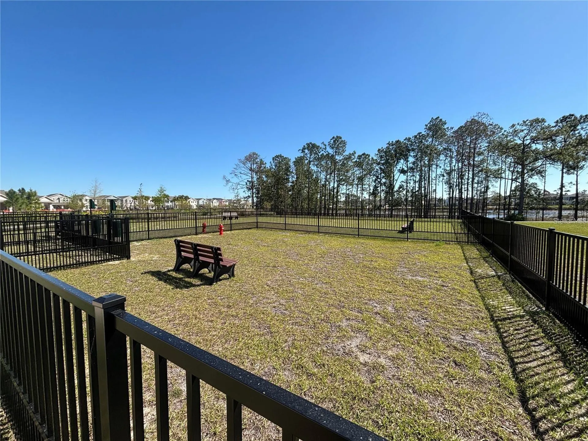 16337 Honey Harvest Street Winter Garden FL 34787
