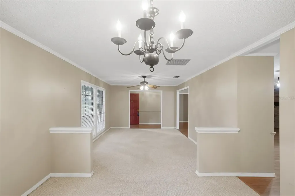 544 Black Ironwood Drive Deland FL 32724