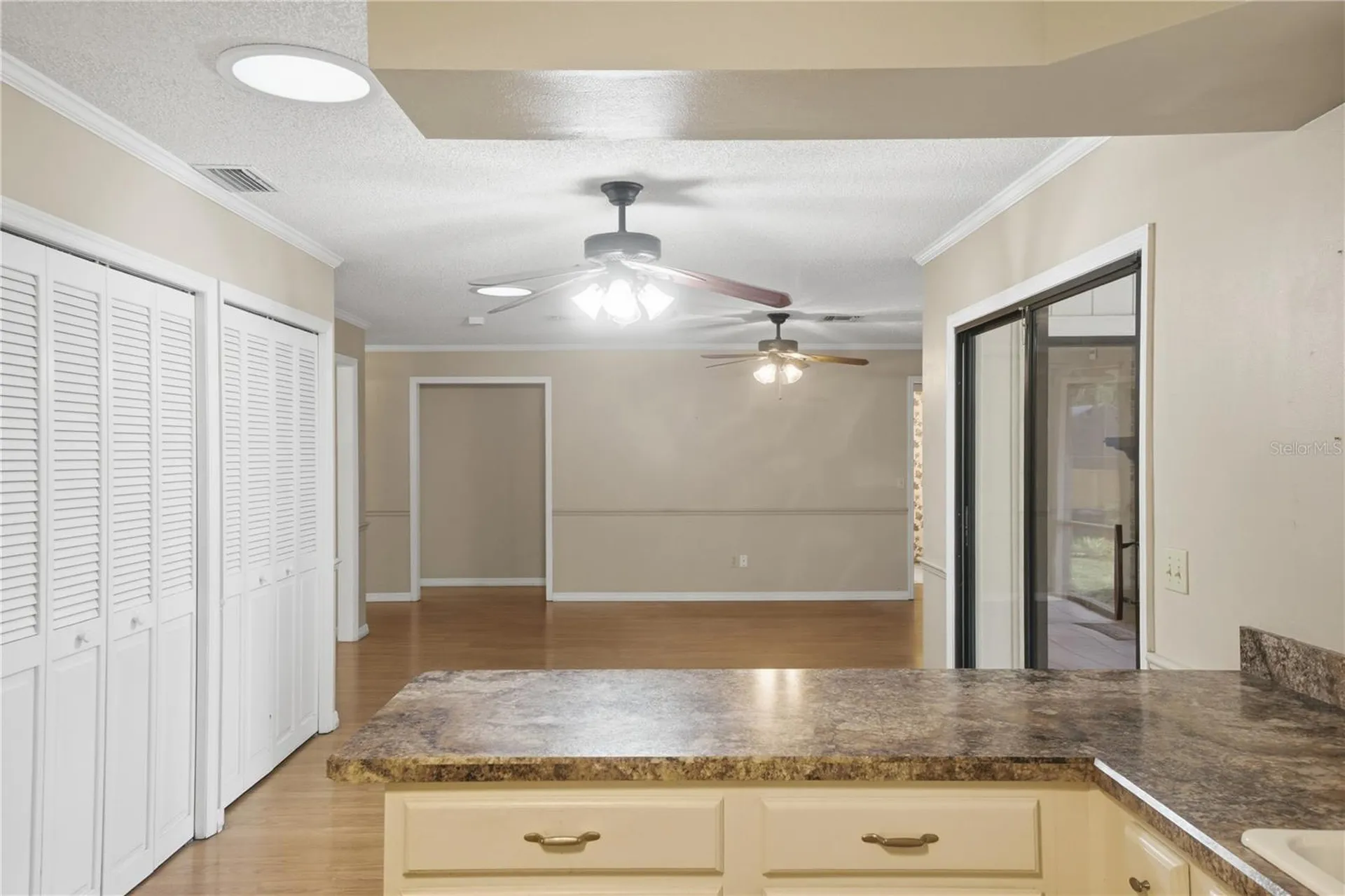 544 Black Ironwood Drive Deland FL 32724